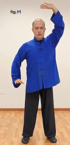 otto pezzi di broccato, ba duan jin
